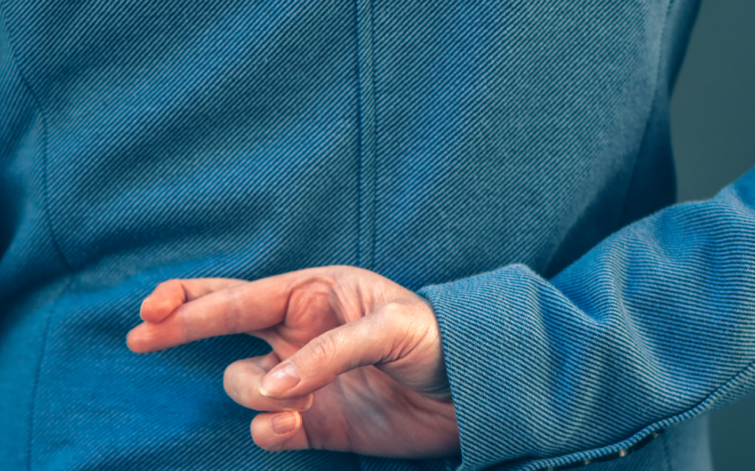 WHAT PARK OPERATORS DON´T WANT YOU TO KNOW