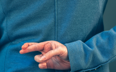 WHAT PARK OPERATORS DON´T WANT YOU TO KNOW